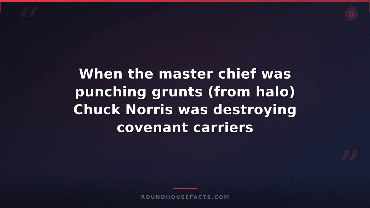 Chuck Norris Fact — When the master chief was punching grunts (from halo) Chuck