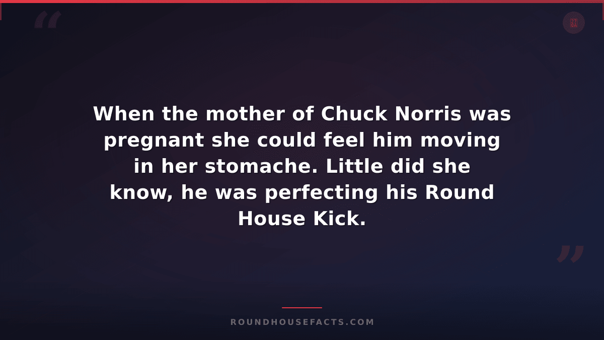 Chuck Norris Fact — When the mother of Chuck Norris was pregnant she could feel