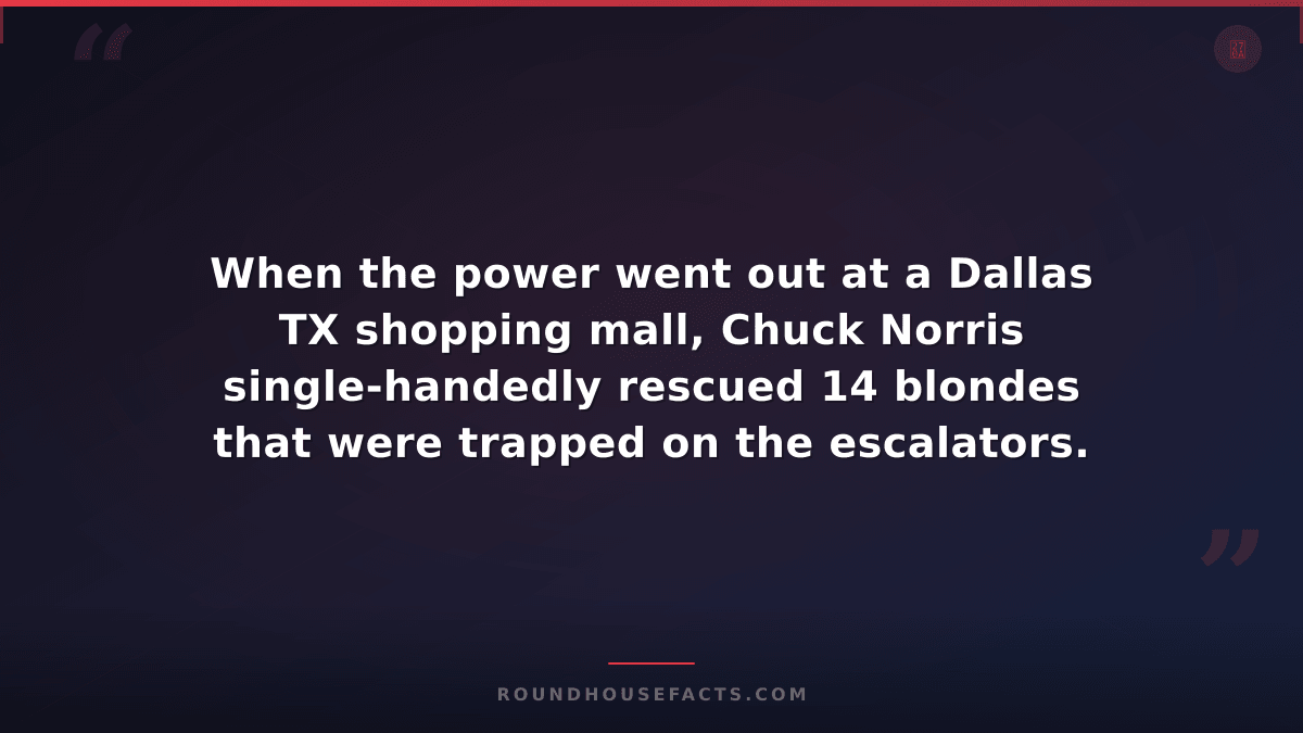 Chuck Norris Fact — When the power went out at a Dallas TX shopping mall, Chuck