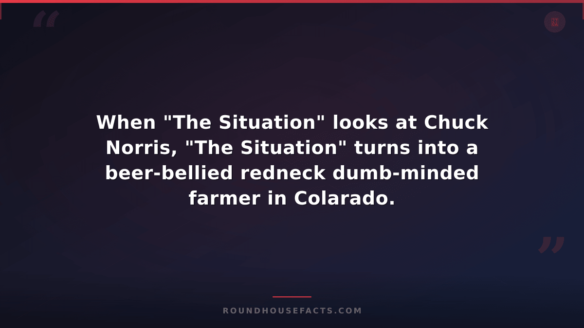 Chuck Norris Fact — When "The Situation" looks at Chuck Norris, "The Situation"