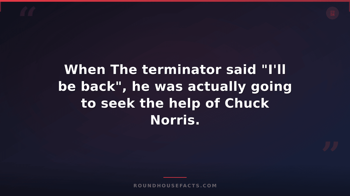 Chuck Norris Fact — When The terminator said "I'll be back", he was actually goi