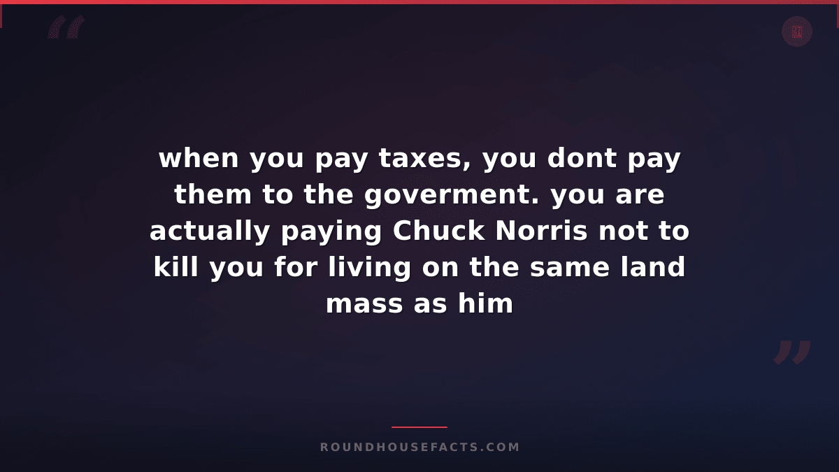 Chuck Norris Fact — when you pay taxes, you dont pay them to the goverment. you