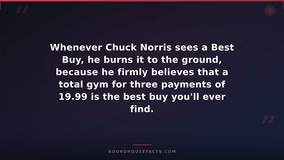 Chuck Norris Fact — Whenever Chuck Norris sees a Best Buy, he burns it to the gr