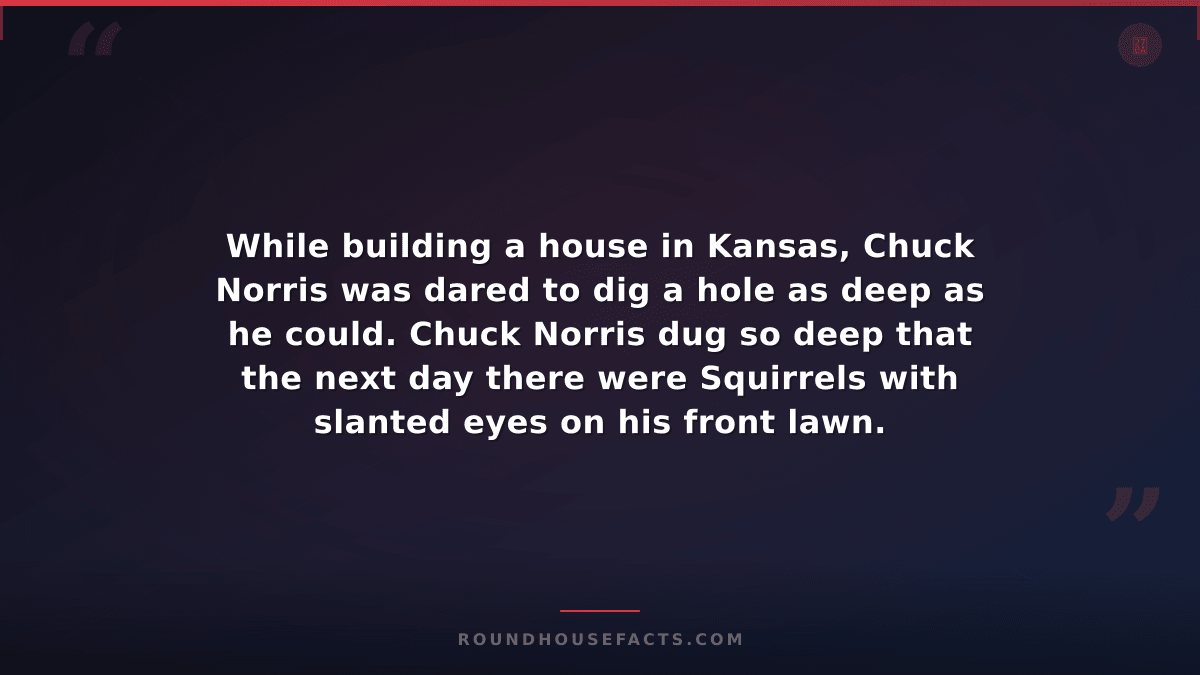 Chuck Norris Fact — While building a house in Kansas, Chuck Norris was dared to