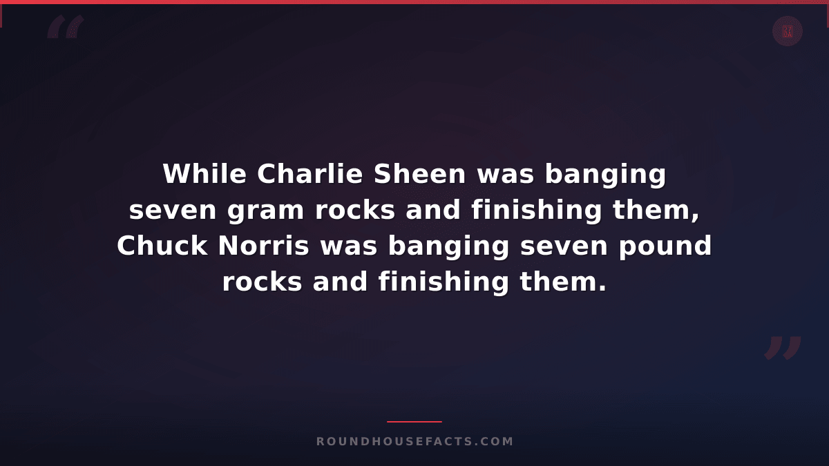 Chuck Norris Fact — While Charlie Sheen was banging seven gram rocks and finishi