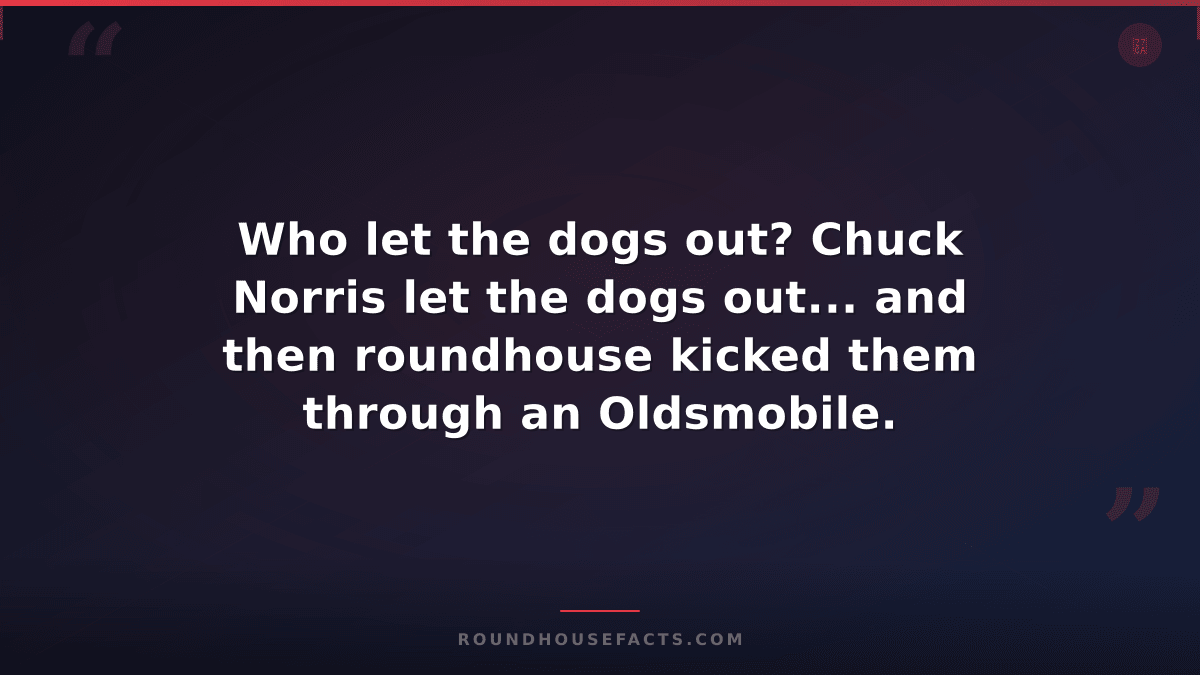 Chuck Norris Fact — Who let the dogs out? Chuck Norris let the dogs out... and t