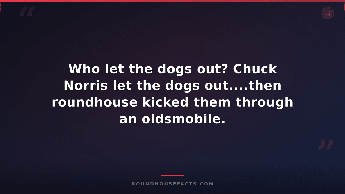 Chuck Norris Fact — Who let the dogs out? Chuck Norris let the dogs out....then