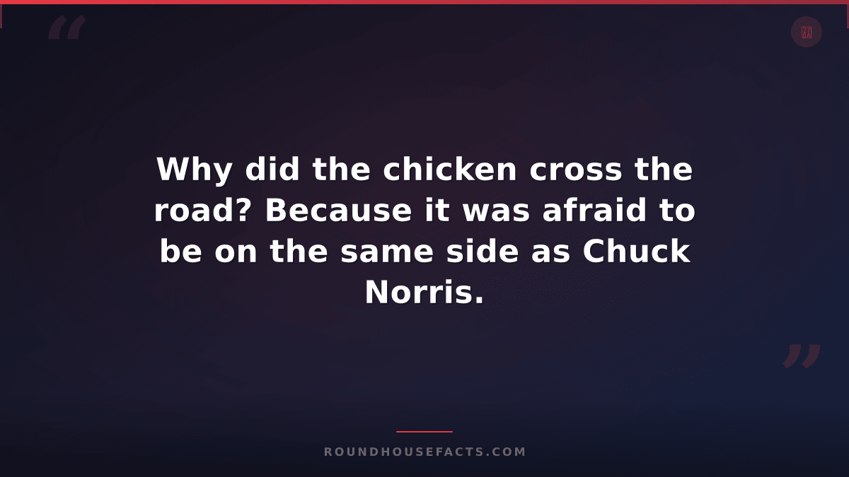 Chuck Norris Fact — Why did the chicken cross the road? Because it was afraid to