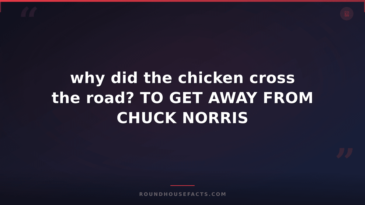 Chuck Norris Fact — why did the chicken cross the road? TO GET AWAY FROM CHUCK N