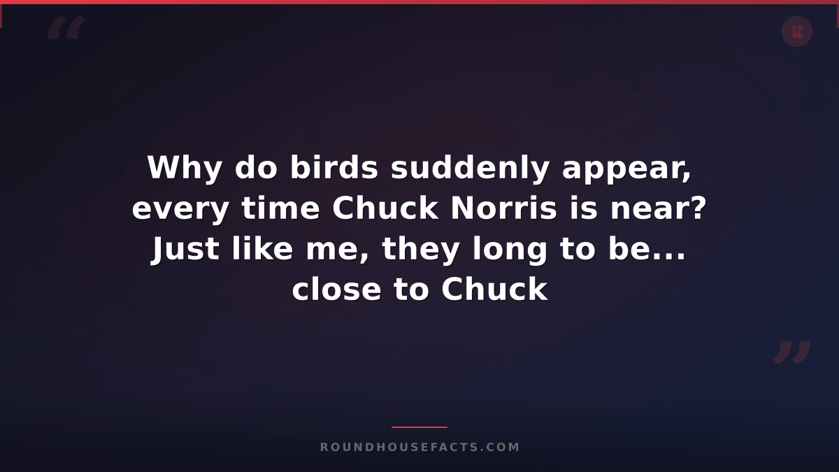 Chuck Norris Fact — Why do birds suddenly appear, every time Chuck Norris is nea