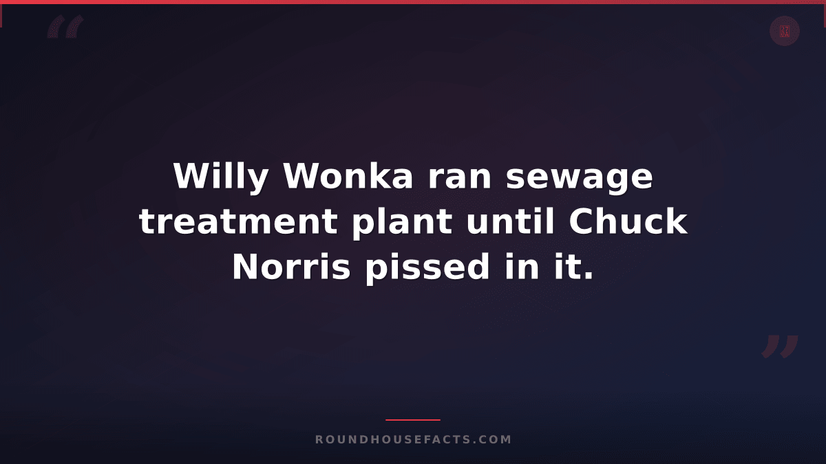 Chuck Norris Fact — Willy Wonka ran sewage treatment plant until Chuck Norris pi