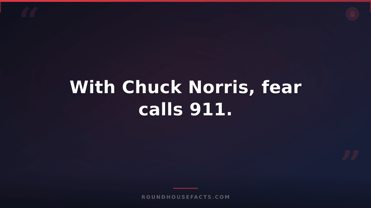 Chuck Norris Fact — With Chuck Norris, fear calls 911.