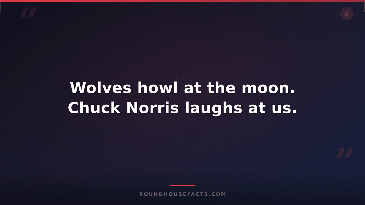 Chuck Norris Fact — Wolves howl at the moon. Chuck Norris laughs at us.