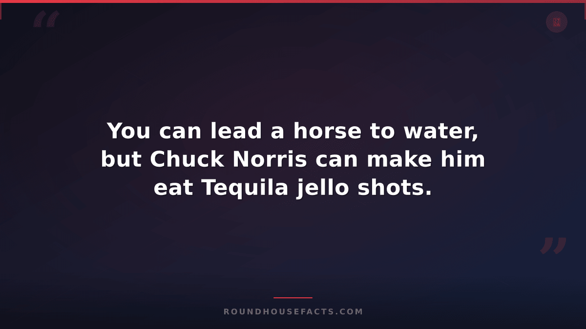Chuck Norris Fact — You can lead a horse to water, but Chuck Norris can make him