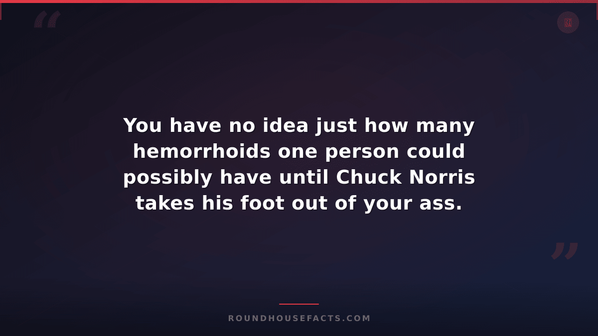 Chuck Norris Fact — You have no idea just how many hemorrhoids one person could