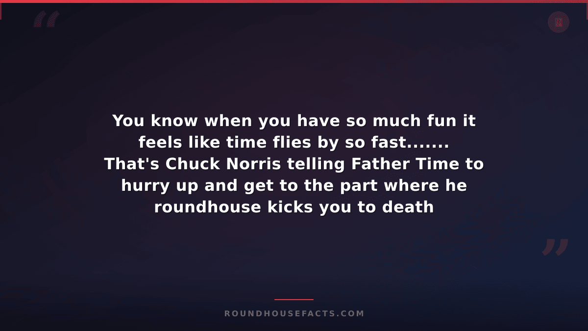 Chuck Norris Fact — You know when you have so much fun it feels like time flies