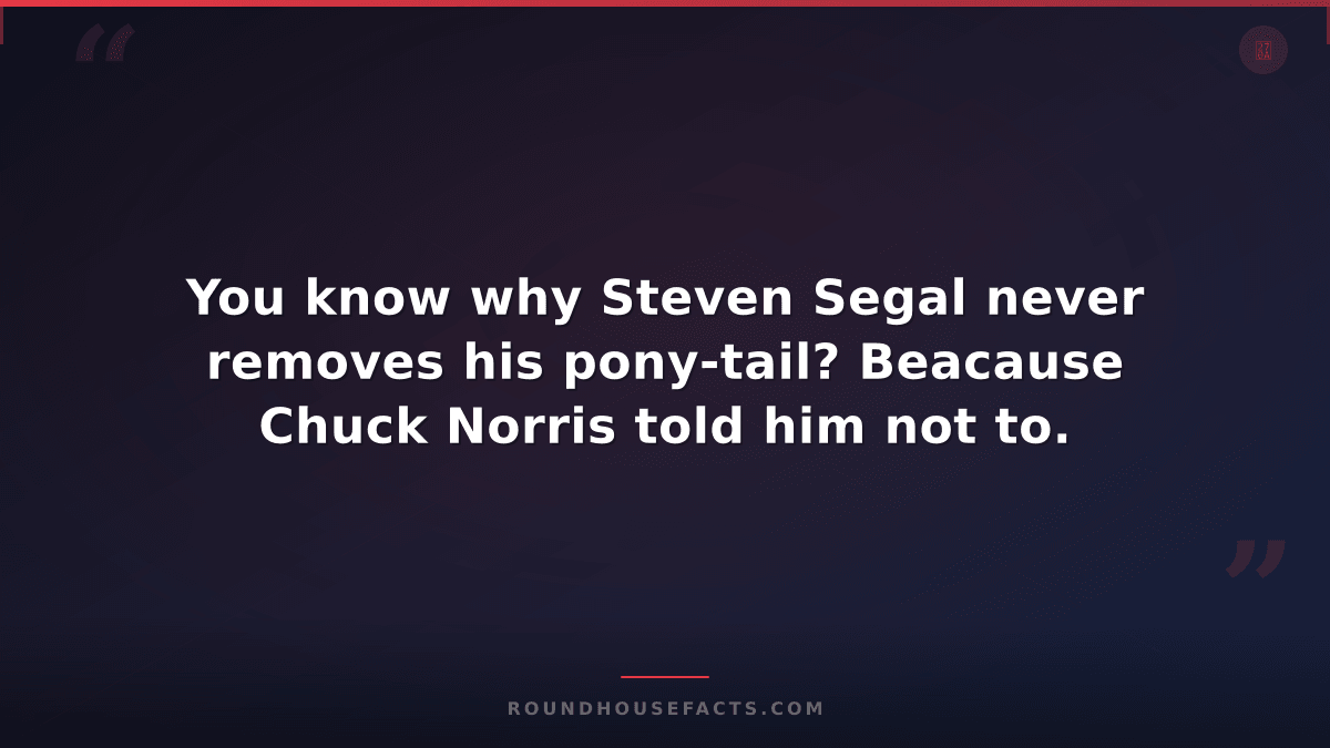 Chuck Norris Fact — You know why Steven Segal never removes his pony-tail? Beaca
