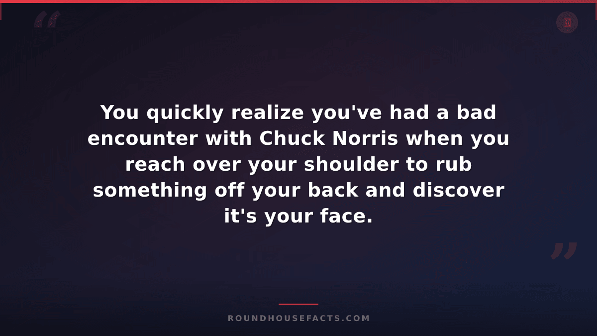 Chuck Norris Fact — You quickly realize you've had a bad encounter with Chuck No