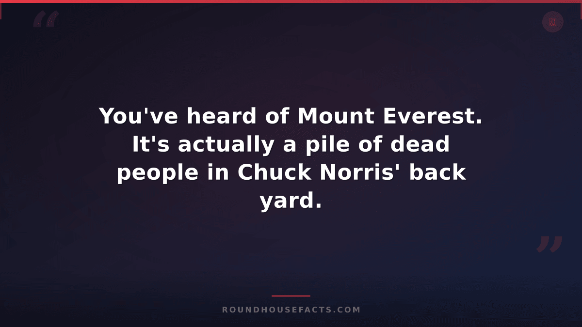 Chuck Norris Fact — You've heard of Mount Everest. It's actually a pile of dead