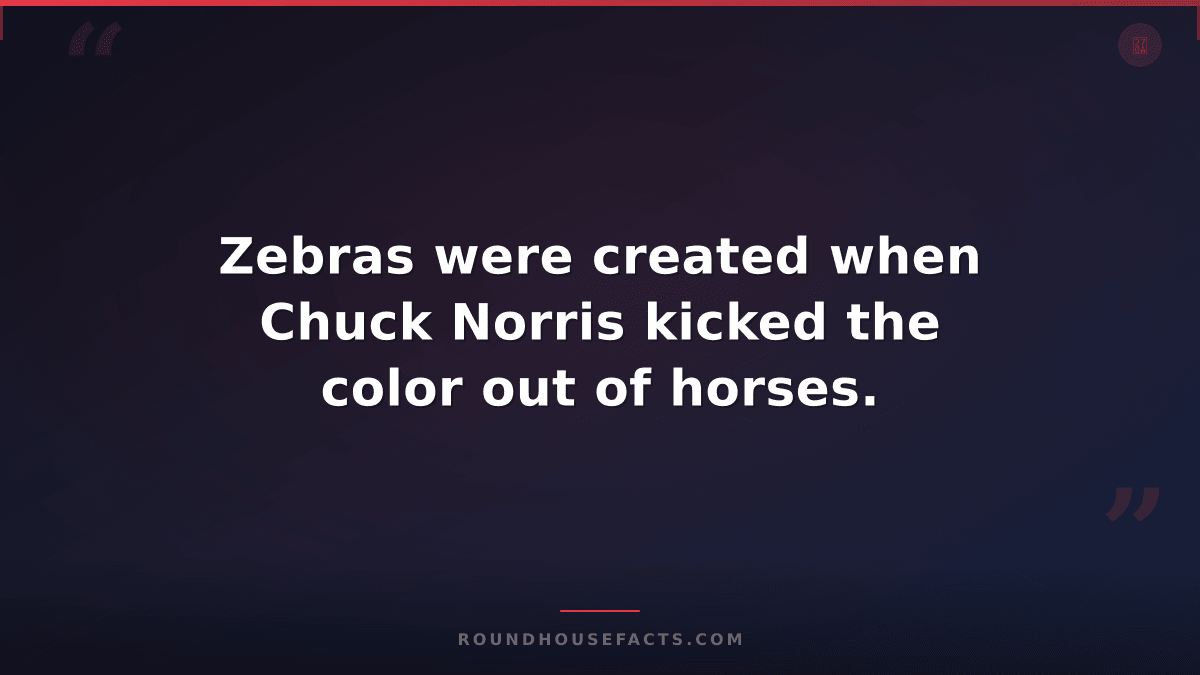 Chuck Norris Fact — Zebras were created when Chuck Norris kicked the color out o